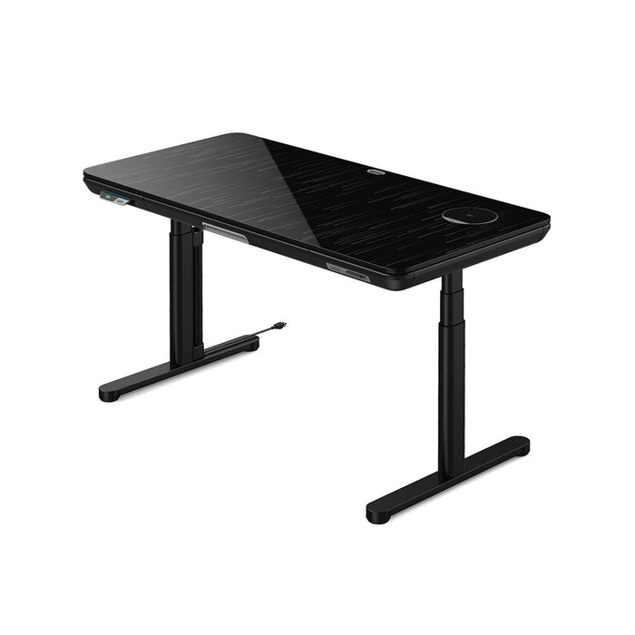 ErgoFX Standing Desk