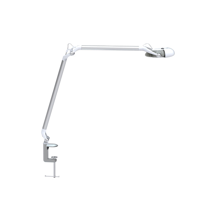 Element Adjustable Desk Lamp white and silver with a clamp base.